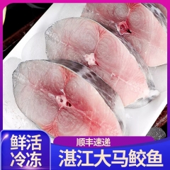 【5斤】湛江大马鲛鱼片中段切片深海鱼水产鲜活马胶鱼海鲜马交鱼