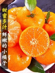 广西沙糖橘新鲜水果当季爆甜正宗沙糖桔 热卖 3斤
