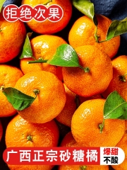 正宗广西砂糖橘   新鲜小果橘子   10斤当季超甜精品包邮   无籽小沙糖桔子 小果3.5cm-4