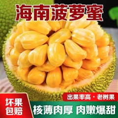【顺丰包邮】海南三亚黄肉菠萝蜜  当季特产 新鲜水果香甜多肉 一整个装 精品大果 35-40斤