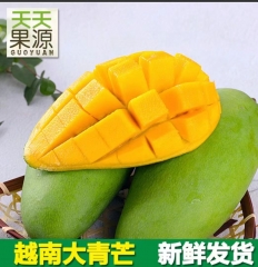 越南大青芒果新鲜应季甜糯热带水果大脸芒妃贵妃果 5 3斤 3级